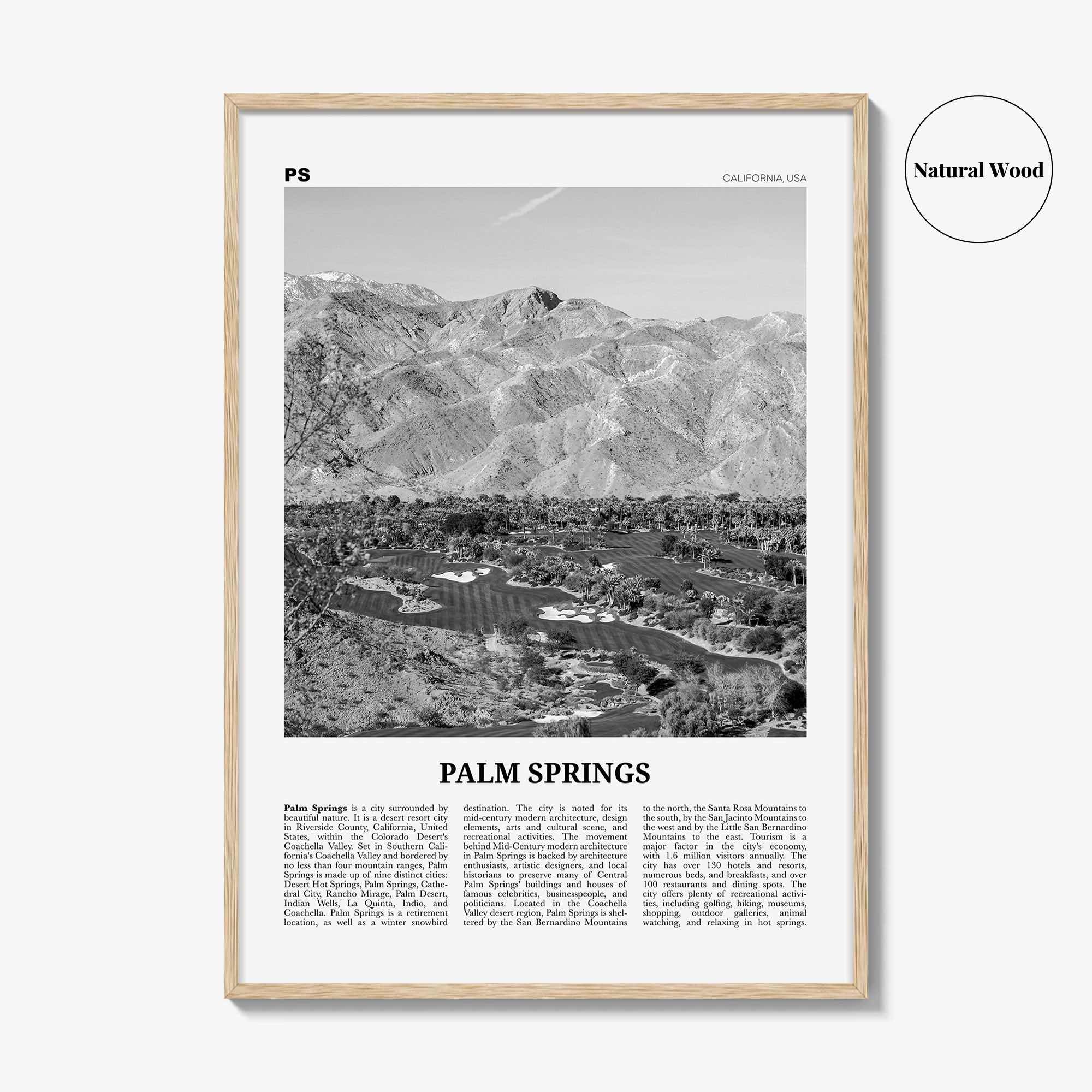 Palm Springs Print Black and White No 3, Palm Springs Wall Art, Palm Springs Poster, Palm Springs, California, USA, United States