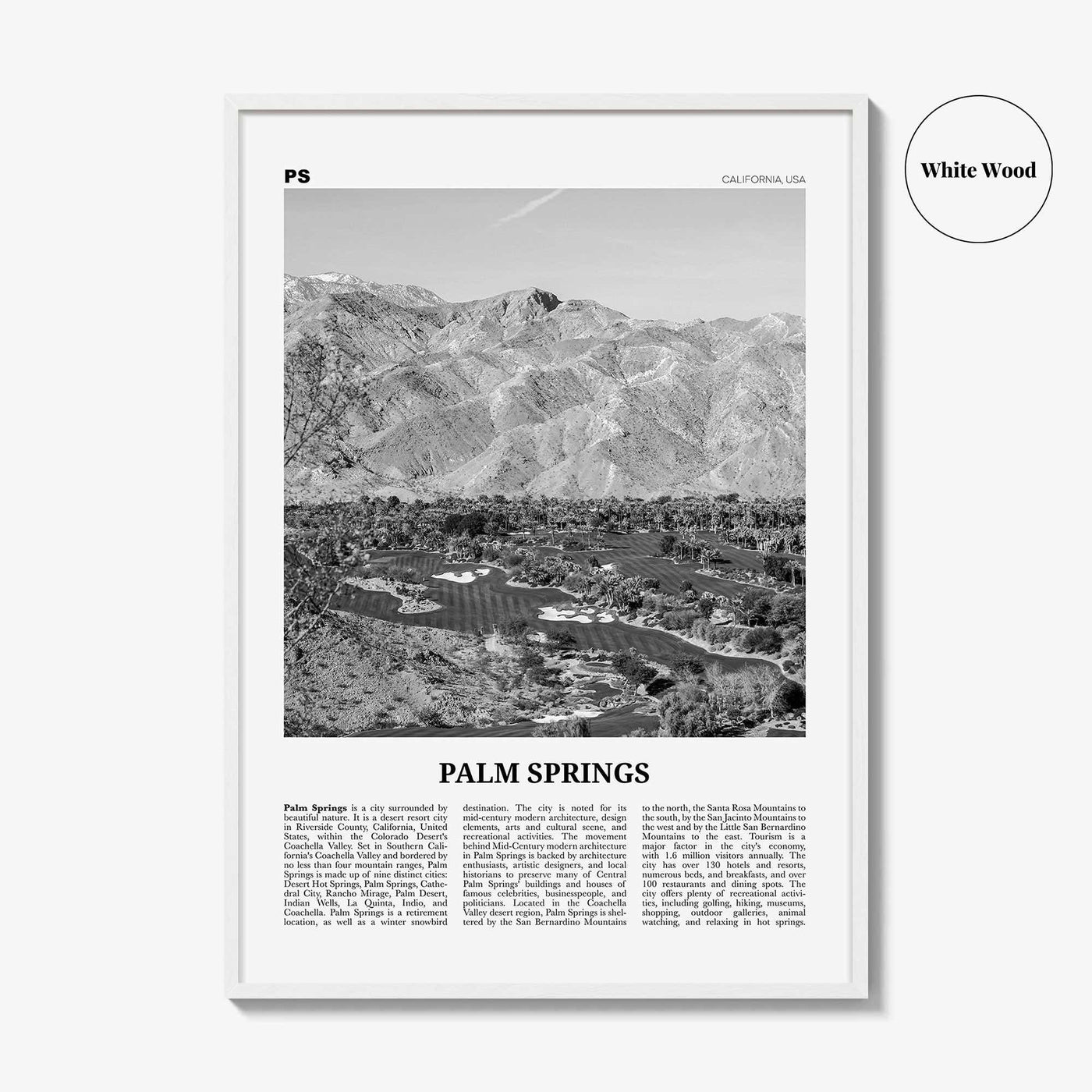 Palm Springs Print Black and White No 3, Palm Springs Wall Art, Palm Springs Poster, Palm Springs, California, USA, United States