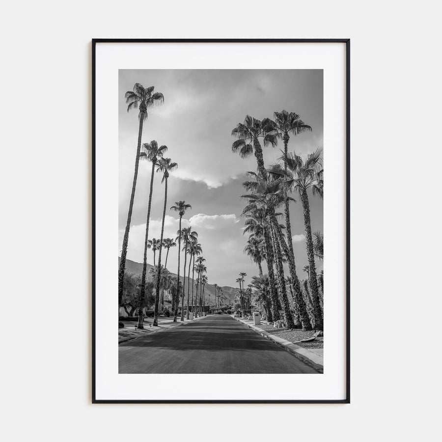 Palm Trees on Road Photo B&W Poster