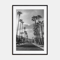 Palm Trees on Road Photo B&W Poster