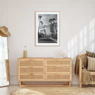 Palm Trees on Road Photo B&W Poster