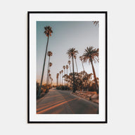 Palm Trees on Road Photo Color Poster