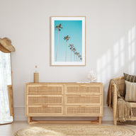 Palm Trees Photo Color No 3 Poster