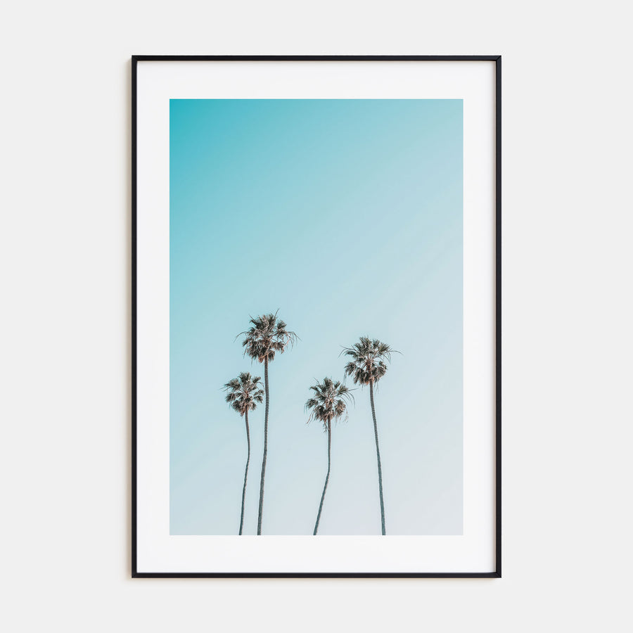Palm Trees Photo Color No 7 Poster