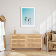 Palm Trees Photo Color No 7 Poster