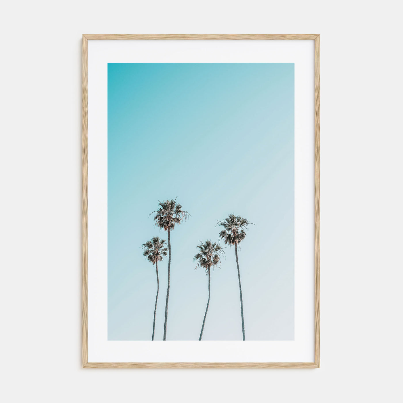 Palm Trees Photo Color No 7 Poster