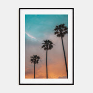 Palm Trees Photo Color No 9 Poster