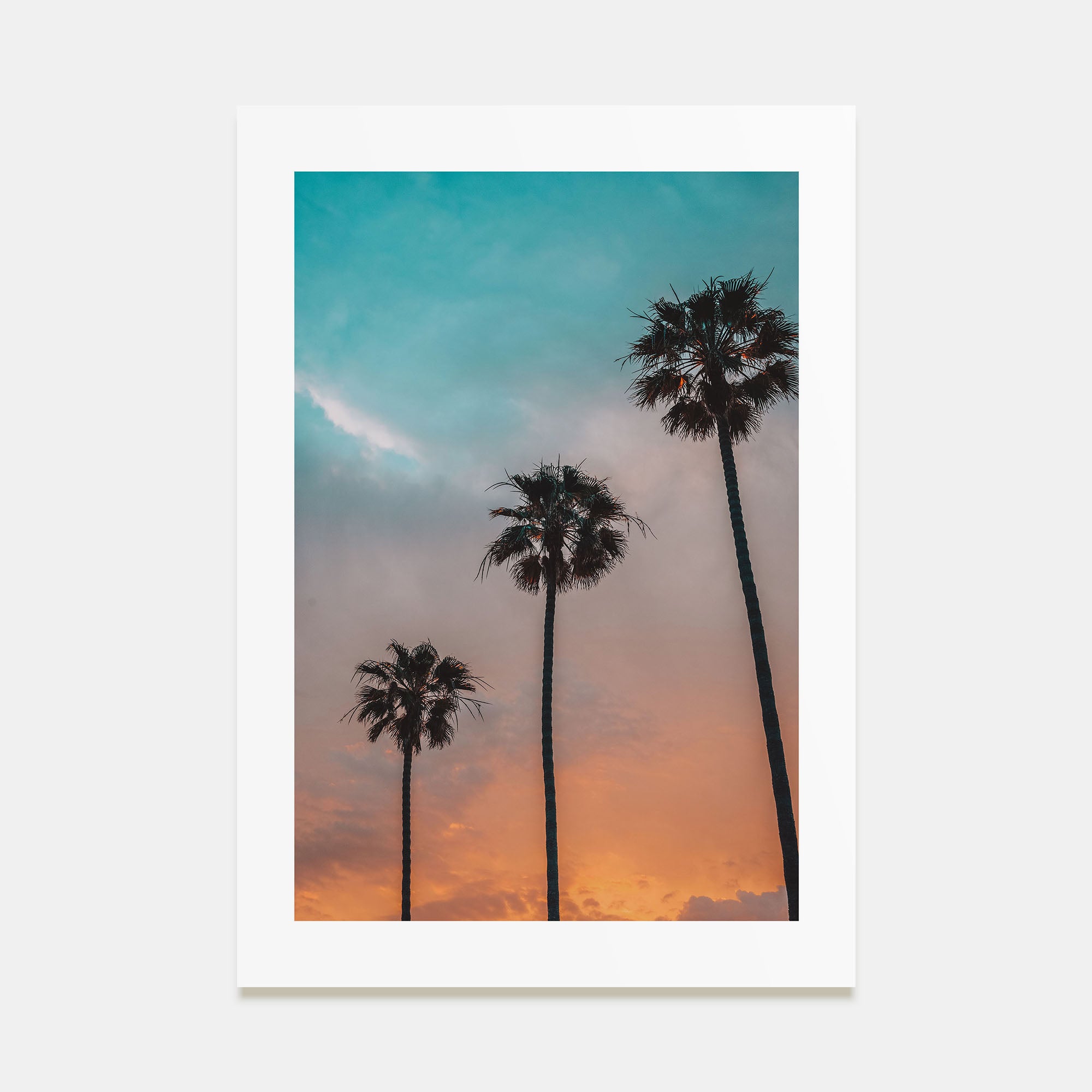 Palm Trees Photo Color No 9 Poster