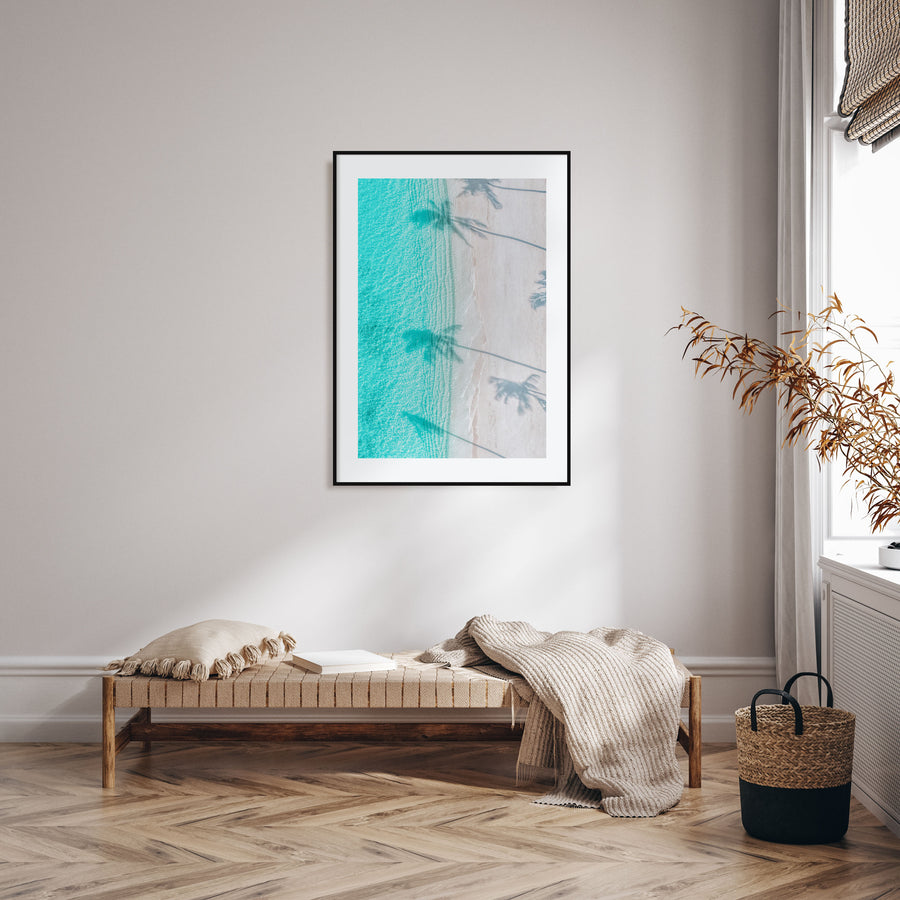 Palm Trees Shadows Photo Color Poster