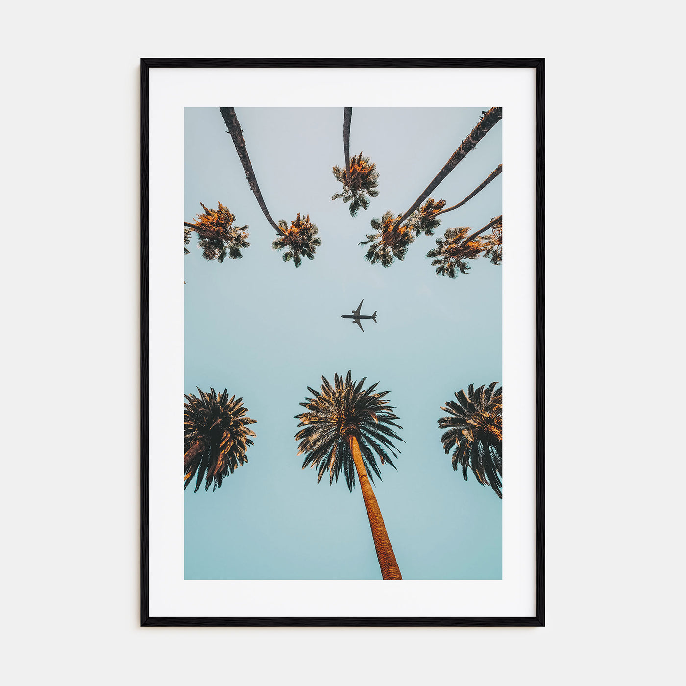 Palm Trees, Sky and Aircraft Photo Color Poster