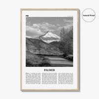 Palmer Print Black and White, Palmer Wall Art, Palmer Poster, Palmer Photo, Palmer Wall Décor, Palmer Map, United States