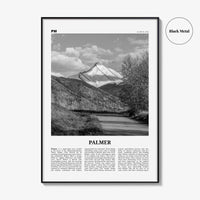 Palmer Print Black and White, Palmer Wall Art, Palmer Poster, Palmer Photo, Palmer Wall Décor, Palmer Map, United States