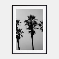 Palms Photo B&W Poster