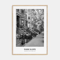 Park Slope Portrait B&W Poster