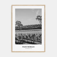 Paso Robles Portrait B&W Poster