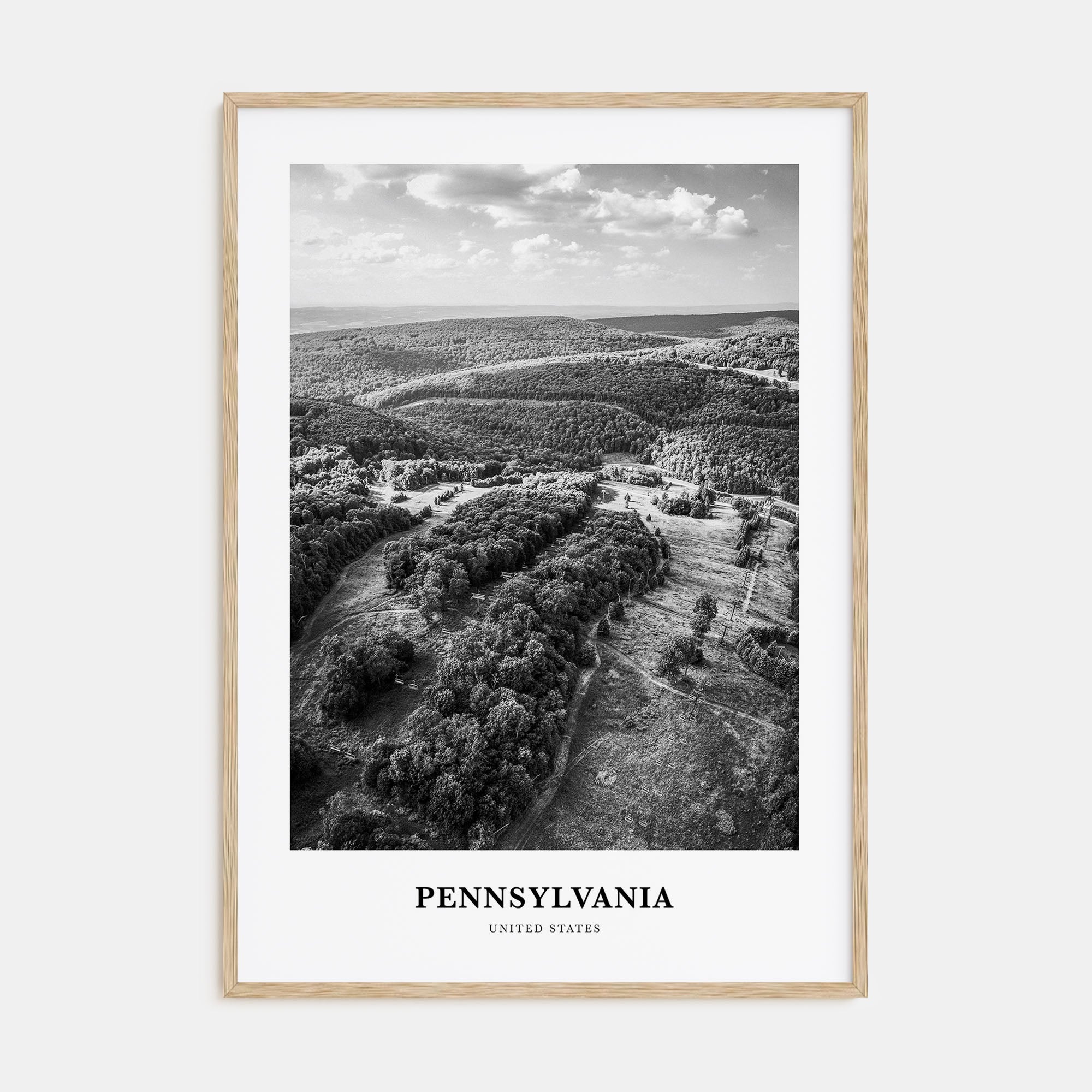 Pennsylvania Portrait B&W Poster