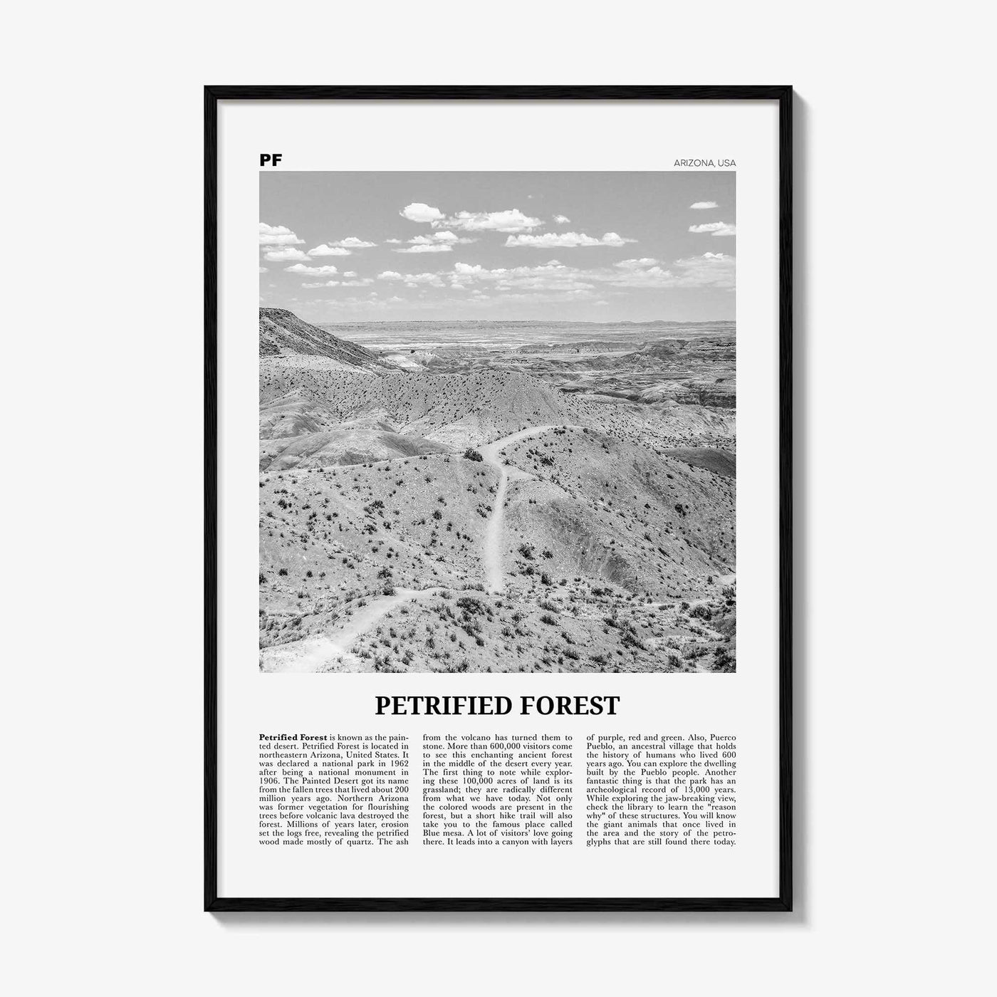 Petrified Forest National Park Print Black and White, Petrified Forest Wall Art, Petrified Forest Poster, Petrified Forest, Arizona, USA