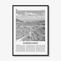 Petrified Forest National Park Print Black and White, Petrified Forest Wall Art, Petrified Forest Poster, Petrified Forest, Arizona, USA