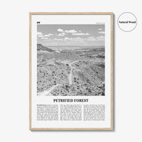 Petrified Forest National Park Print Black and White, Petrified Forest Wall Art, Petrified Forest Poster, Petrified Forest, Arizona, USA
