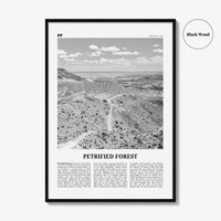 Petrified Forest National Park Print Black and White, Petrified Forest Wall Art, Petrified Forest Poster, Petrified Forest, Arizona, USA