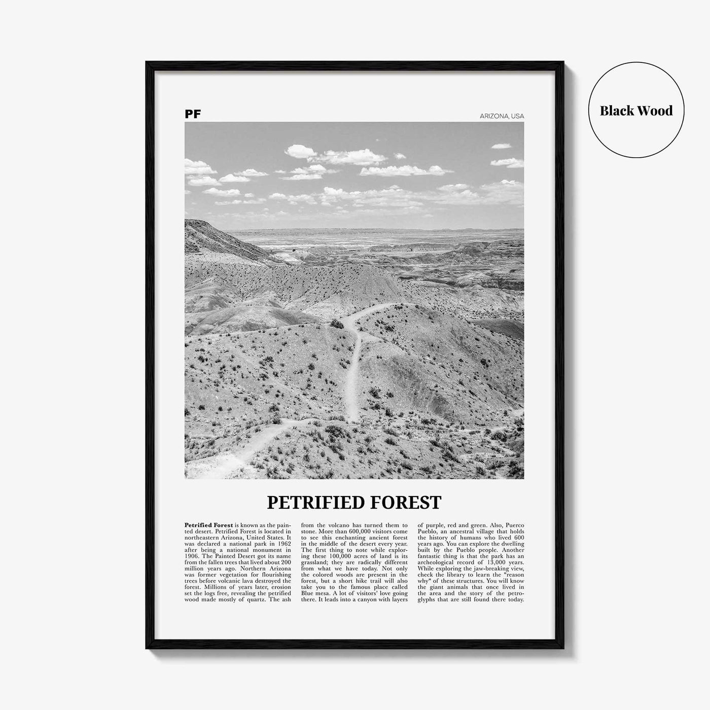 Petrified Forest National Park Print Black and White, Petrified Forest Wall Art, Petrified Forest Poster, Petrified Forest, Arizona, USA