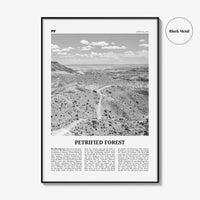 Petrified Forest National Park Print Black and White, Petrified Forest Wall Art, Petrified Forest Poster, Petrified Forest, Arizona, USA