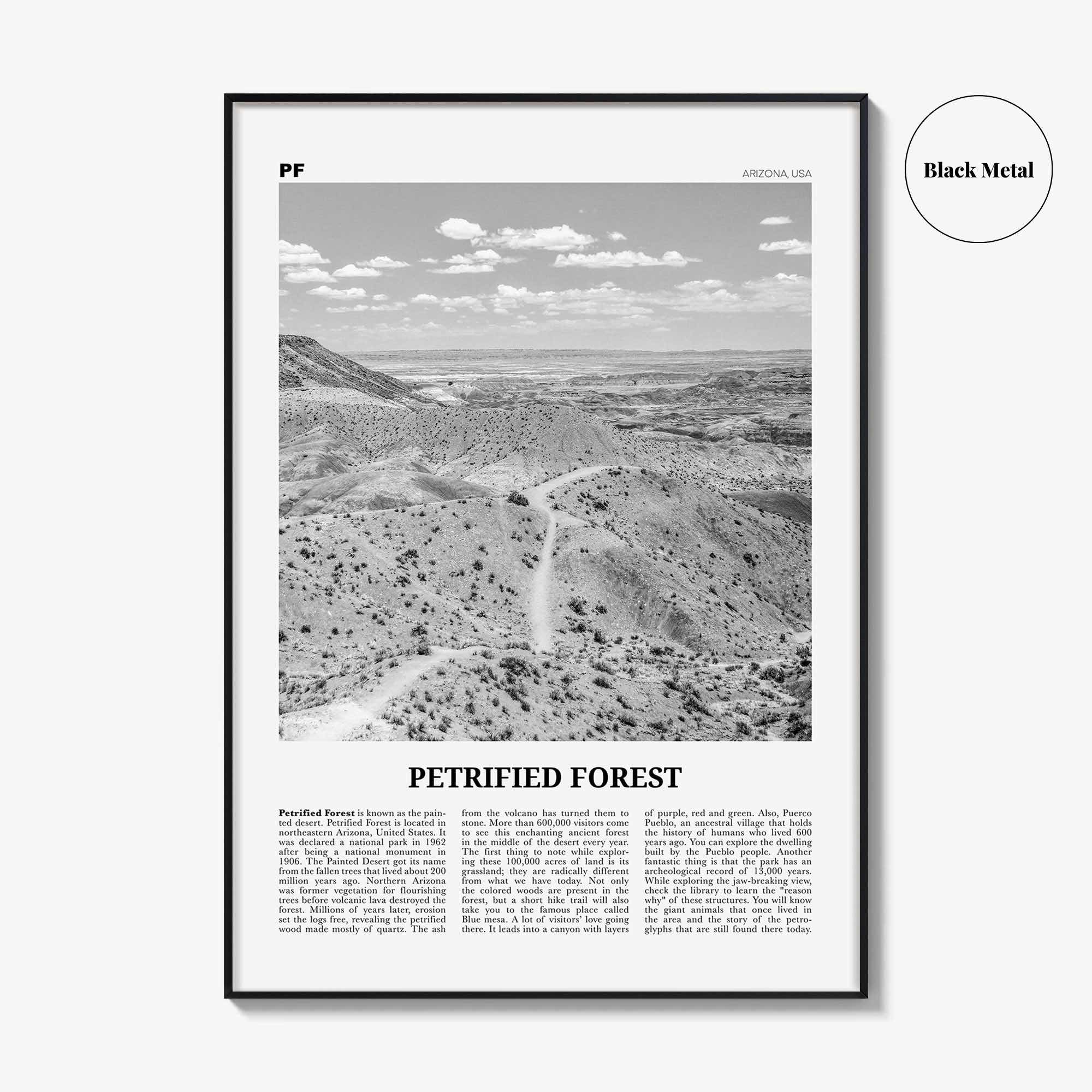 Petrified Forest National Park Print Black and White, Petrified Forest Wall Art, Petrified Forest Poster, Petrified Forest, Arizona, USA