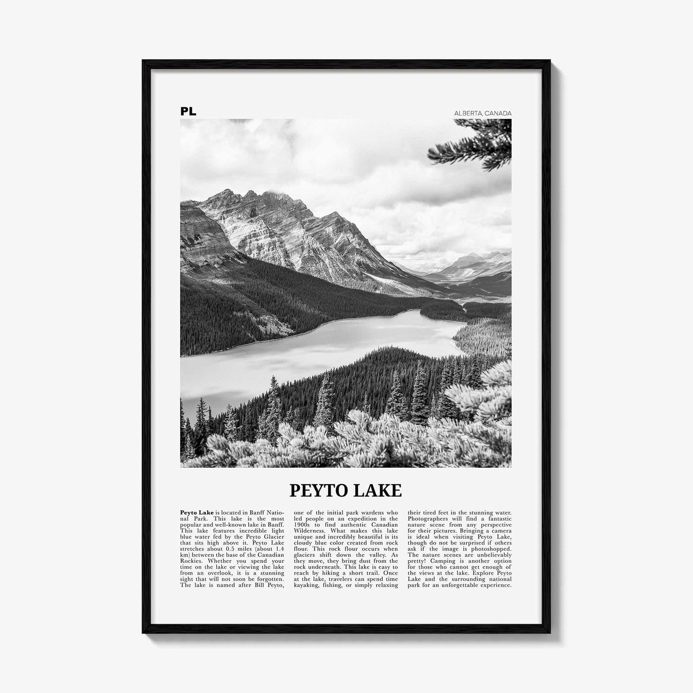 Peyto Lake Print Black and White, Peyto Lake Wall Art, Peyto Lake Poster, Peyto Lake Photo, Peyto Lake Wall Décor, Alberta, Canada