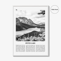 Peyto Lake Print Black and White, Peyto Lake Wall Art, Peyto Lake Poster, Peyto Lake Photo, Peyto Lake Wall Décor, Alberta, Canada