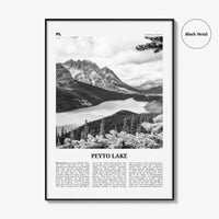 Peyto Lake Print Black and White, Peyto Lake Wall Art, Peyto Lake Poster, Peyto Lake Photo, Peyto Lake Wall Décor, Alberta, Canada