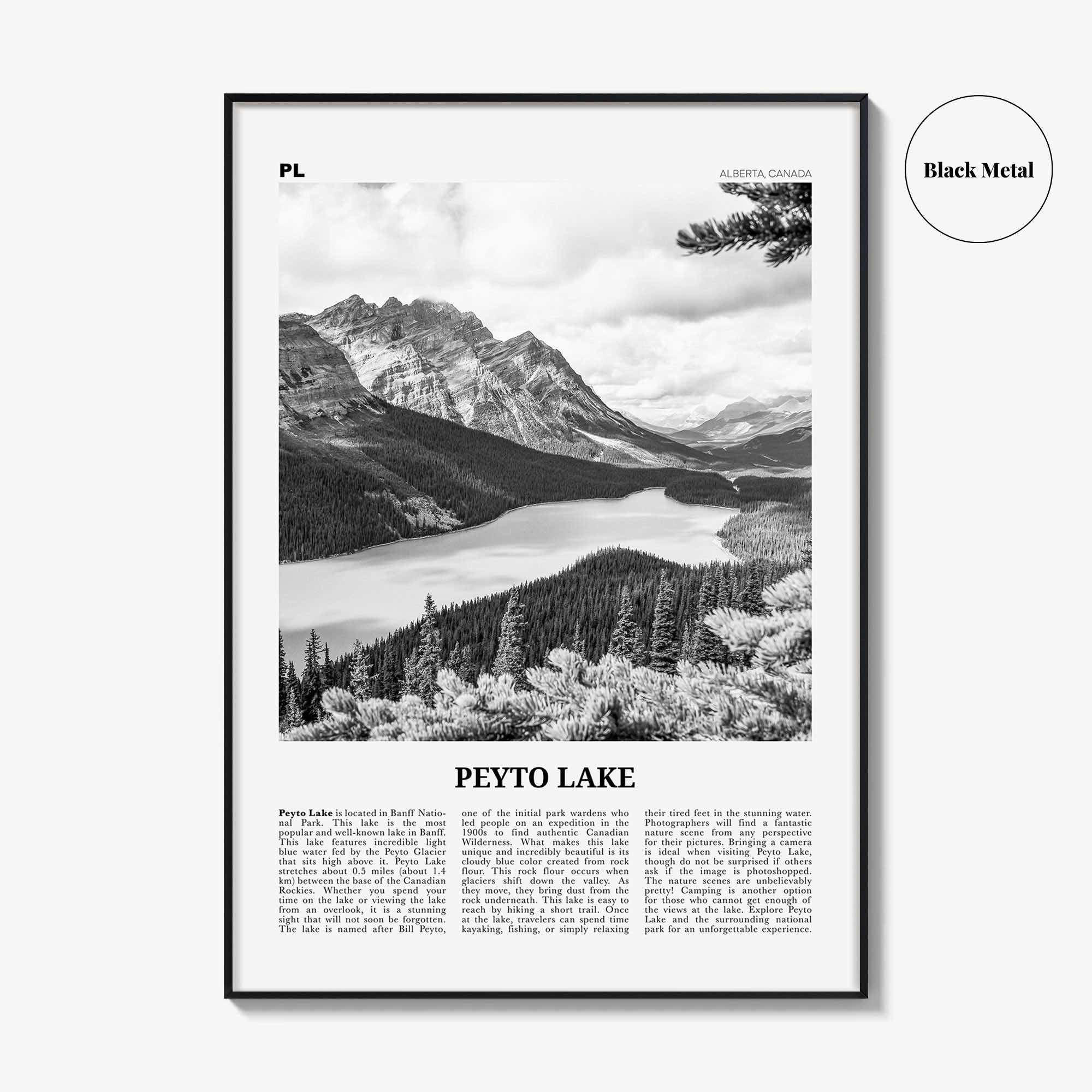 Peyto Lake Print Black and White, Peyto Lake Wall Art, Peyto Lake Poster, Peyto Lake Photo, Peyto Lake Wall Décor, Alberta, Canada