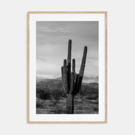 Phoenix Photo B&W No 1 Poster