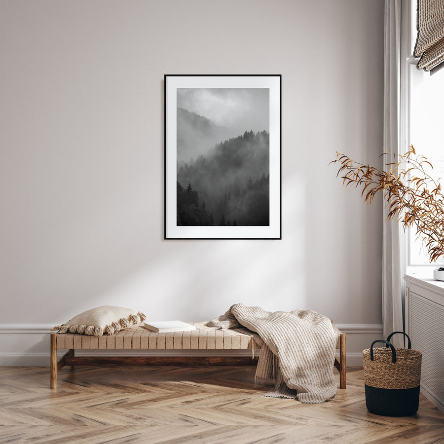 Pine Tree Forest Photo B&W No 1 Poster