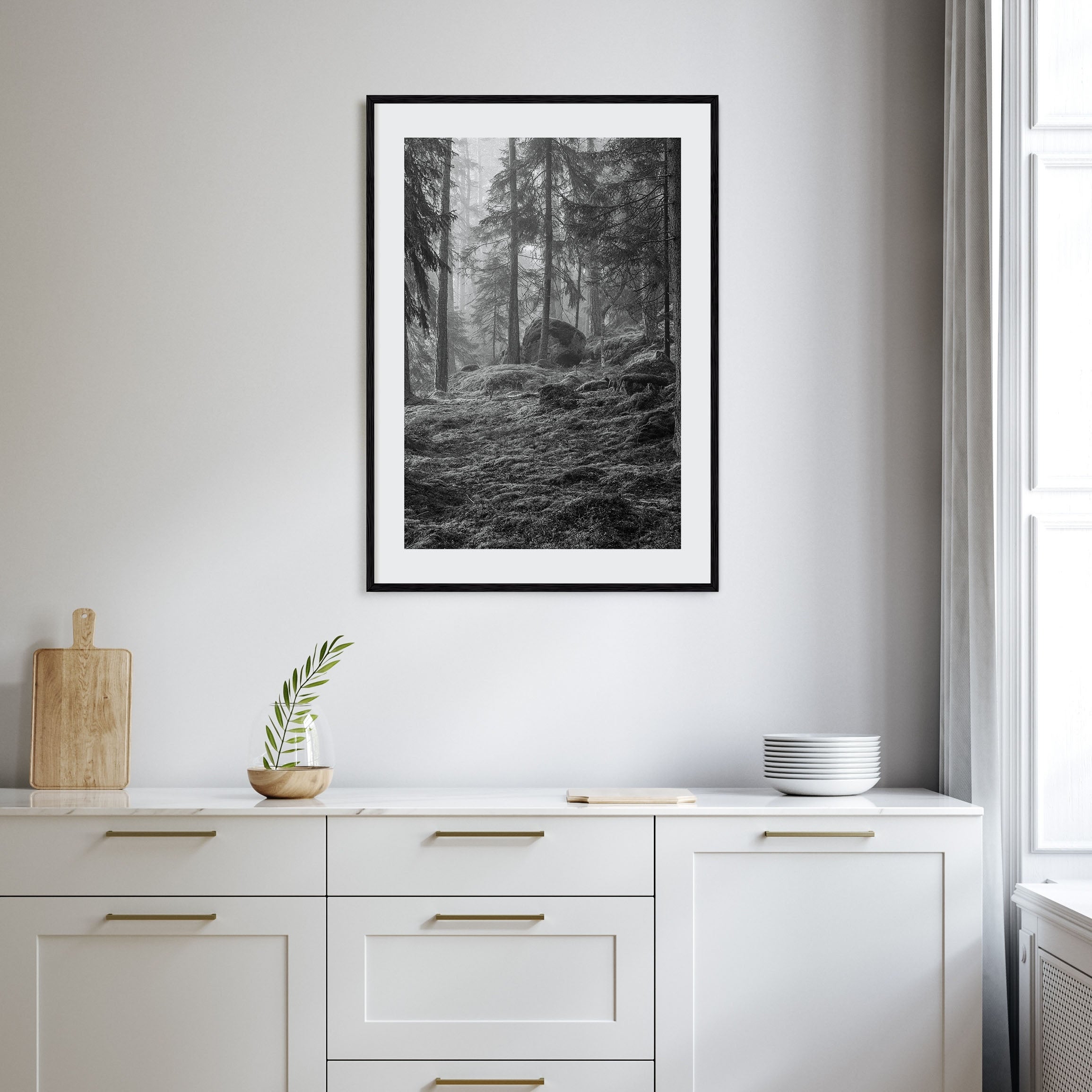 Pine Tree Forest Photo B&W No 2 Poster