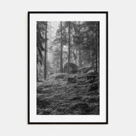 Pine Tree Forest Photo B&W No 2 Poster