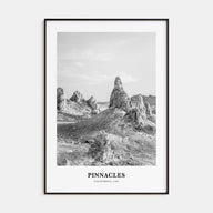 Pinnacles National Park Portrait B&W Poster