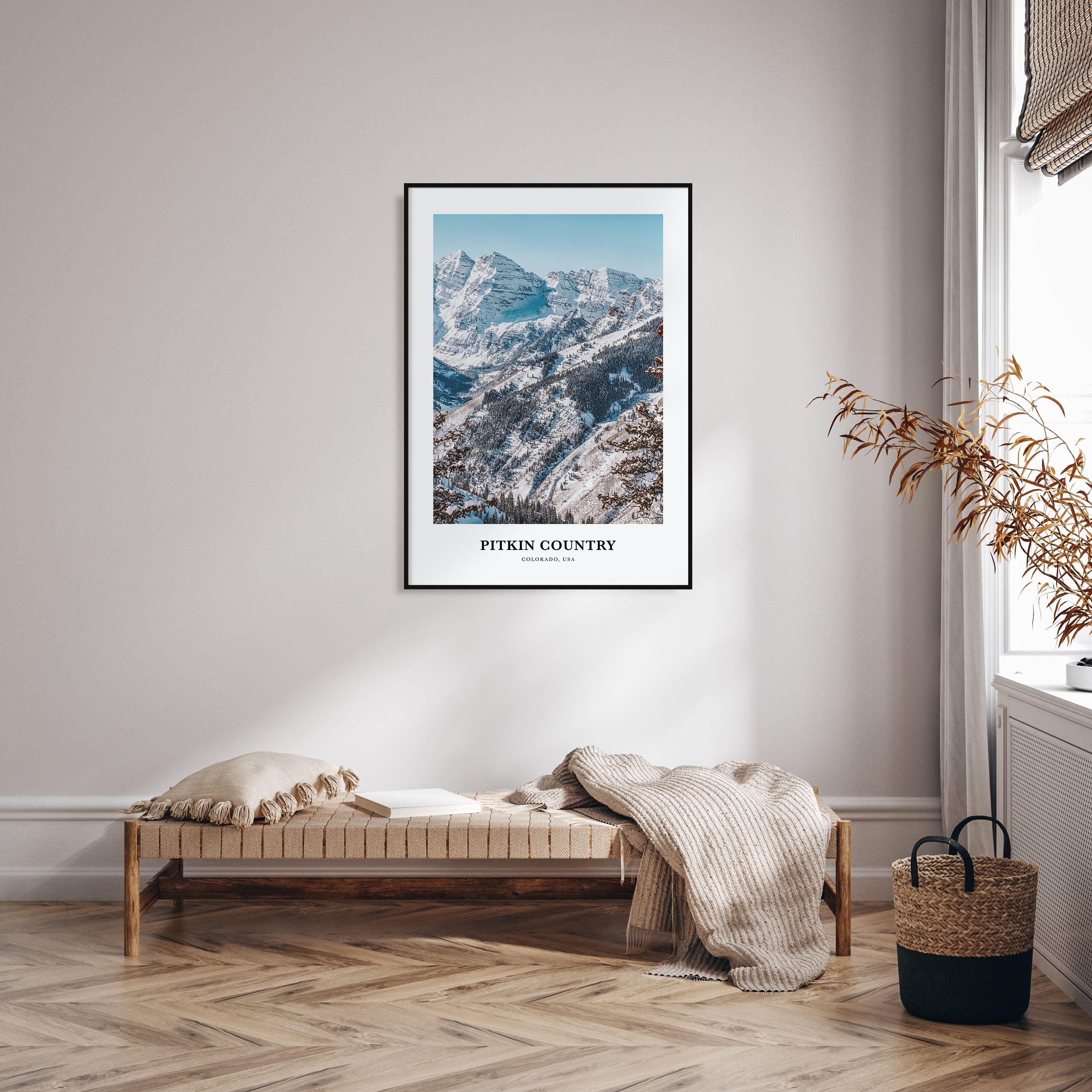 Pitkin County Portrait Color Poster