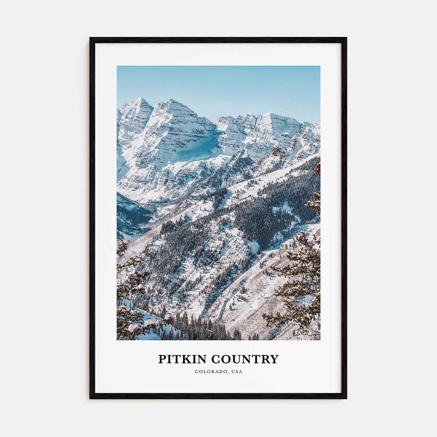 Pitkin County Portrait Color Poster