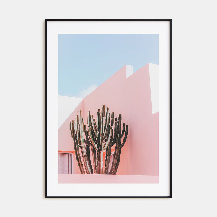 Plants on Pink Photo Color Poster
