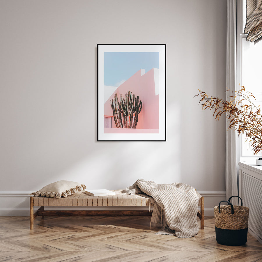 Plants on Pink Photo Color Poster