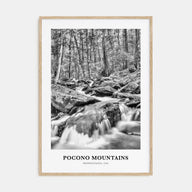 Pocono Mountains Portrait B&W Poster