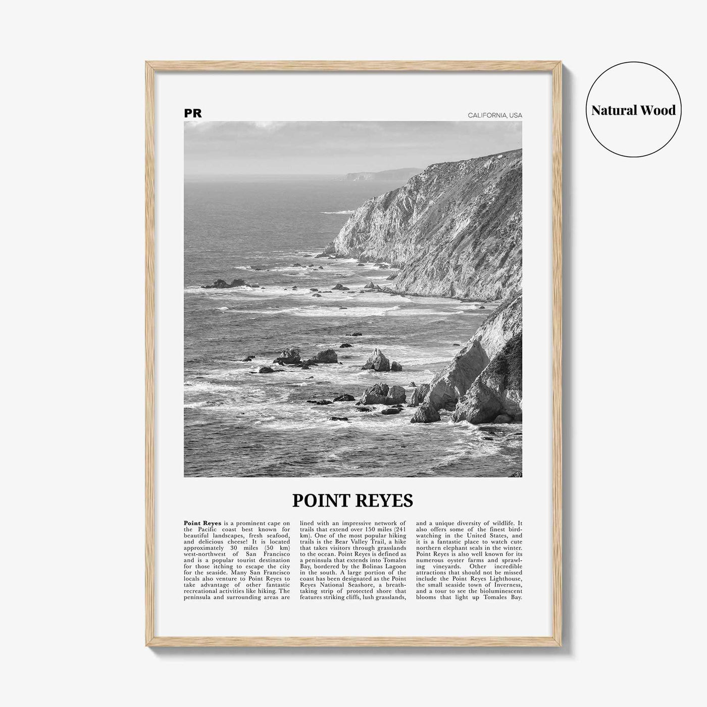 Point Reyes Print Black and White, Point Reyes Wall Art, Point Reyes Poster, Point Reyes Photo, California, USA, United States North America