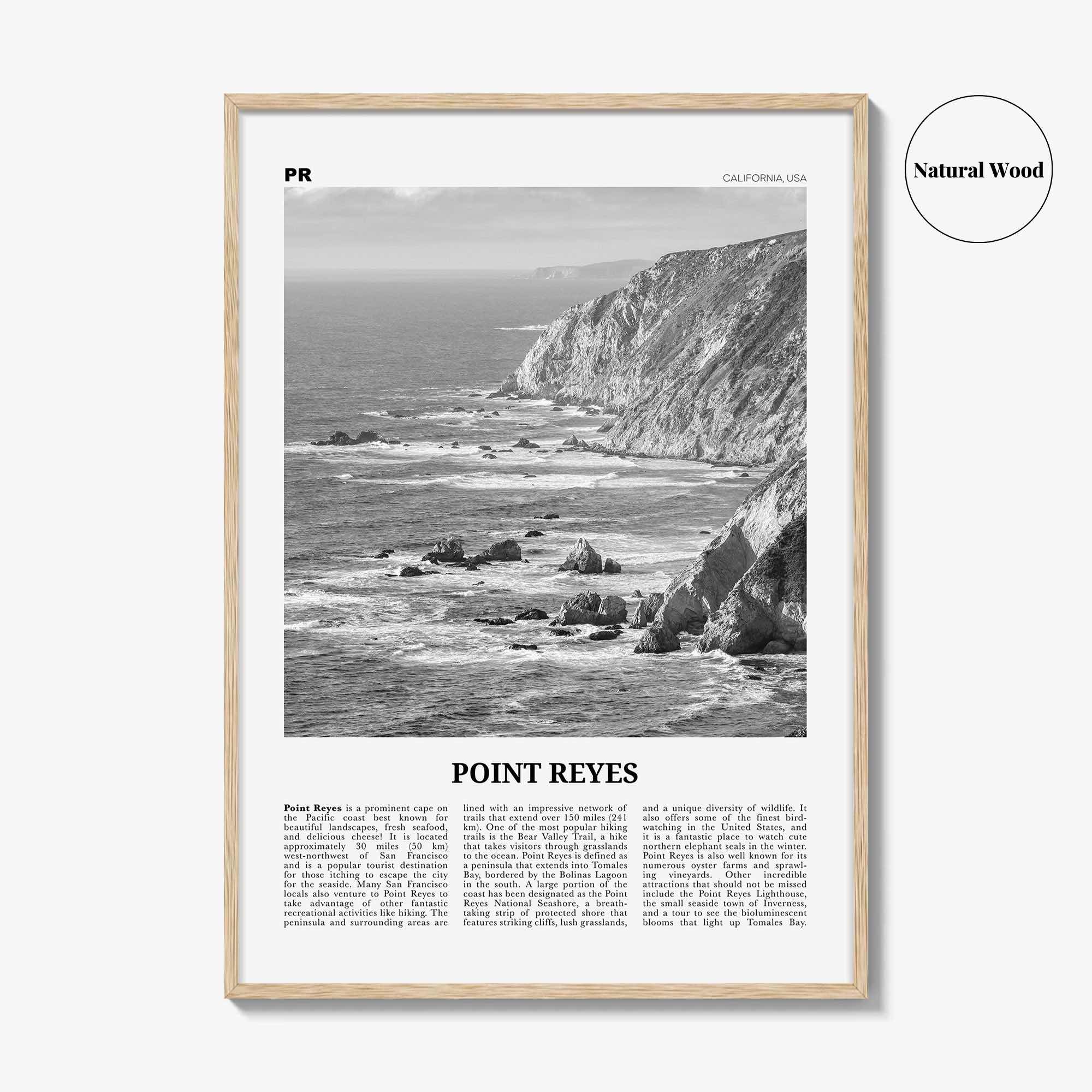 Point Reyes Print Black and White, Point Reyes Wall Art, Point Reyes Poster, Point Reyes Photo, California, USA, United States North America