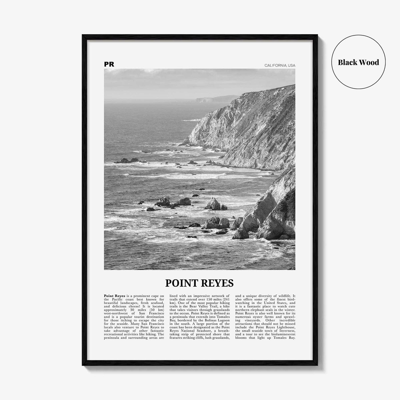 Point Reyes Print Black and White, Point Reyes Wall Art, Point Reyes Poster, Point Reyes Photo, California, USA, United States North America