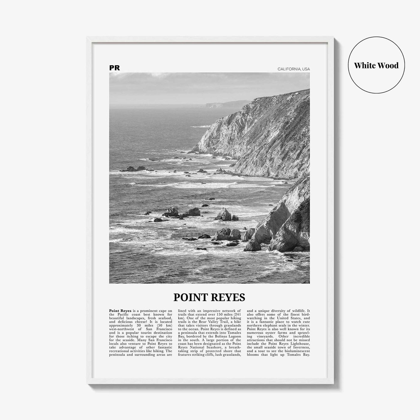 Point Reyes Print Black and White, Point Reyes Wall Art, Point Reyes Poster, Point Reyes Photo, California, USA, United States North America