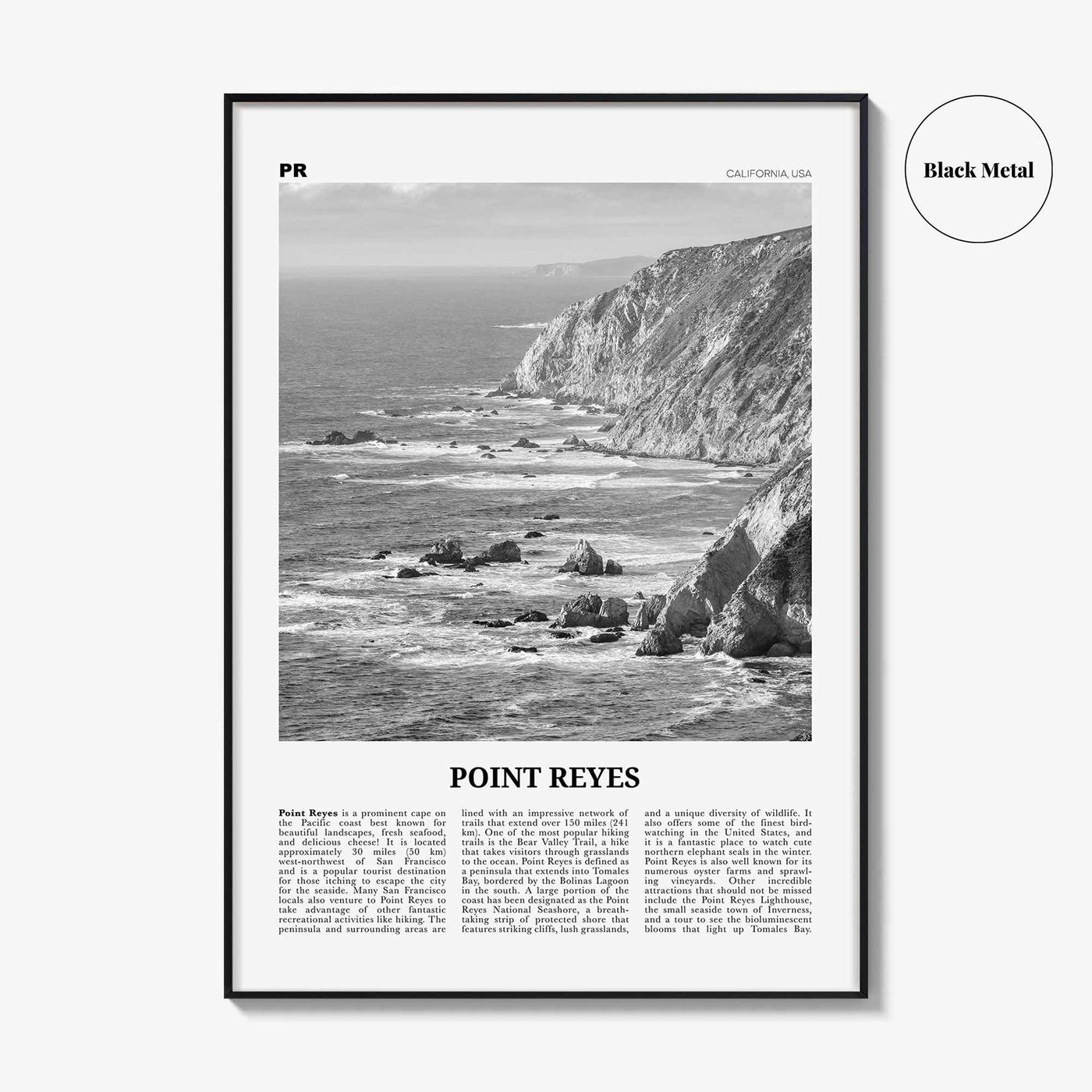 Point Reyes Print Black and White, Point Reyes Wall Art, Point Reyes Poster, Point Reyes Photo, California, USA, United States North America