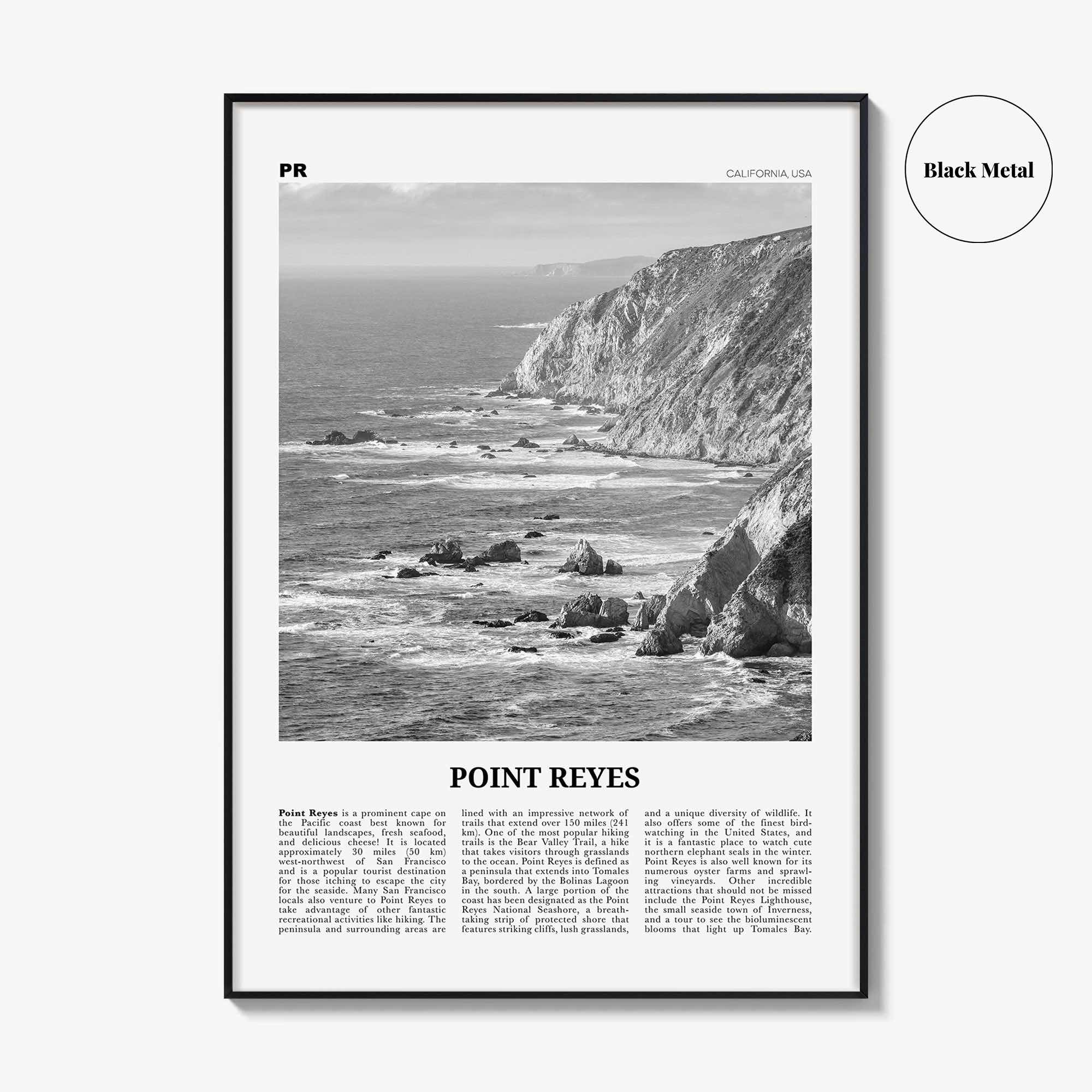 Point Reyes Print Black and White, Point Reyes Wall Art, Point Reyes Poster, Point Reyes Photo, California, USA, United States North America