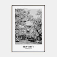 Princeton Portrait B&W Poster