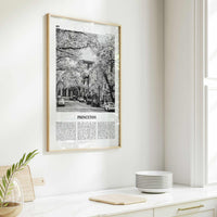 Princeton Print Black and White, Princeton Wall Art, Princeton Poster, Princeton Photo, Princeton Wall Décor, New Jersey, USA, United States