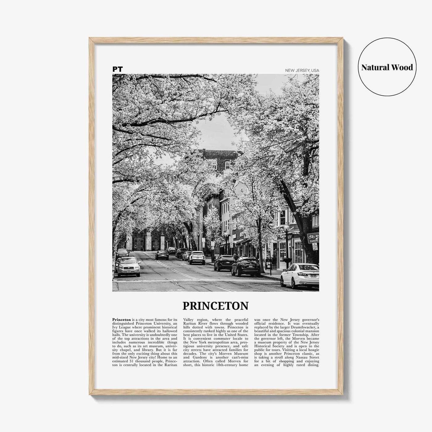 Princeton Print Black and White, Princeton Wall Art, Princeton Poster, Princeton Photo, Princeton Wall Décor, New Jersey, USA, United States